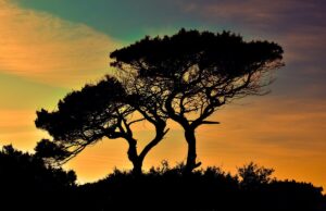 Camping in Cyprus by Campervan: Rules, Campsites, and Life on the Road