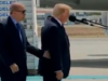 Trump Is So Out Of It At The NATO Summit That He Is Being Guided Around By Hand