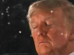 Declining Trump Caught Sleeping During 4th Of July Fireworks