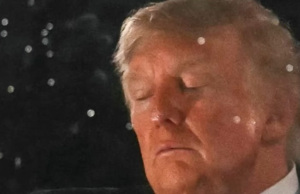 Declining Trump Caught Sleeping During 4th Of July Fireworks
